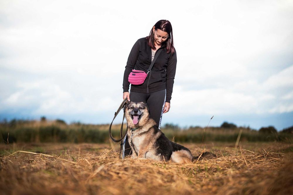 Hagi - miś co uwielbia spacery ADOPCJA