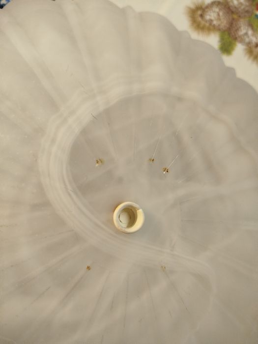 Fruteira vidro fruteira