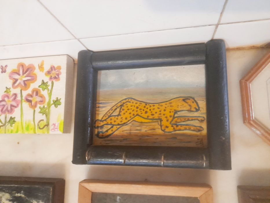Conjunto de Quadros e Artigos Decorativos444209804063559684