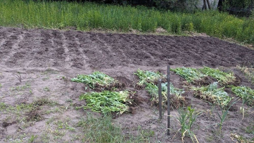 Продам дачу біля лісу садове товариство «Горизонт»