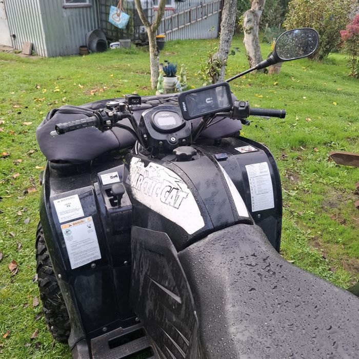 Arctic Cat