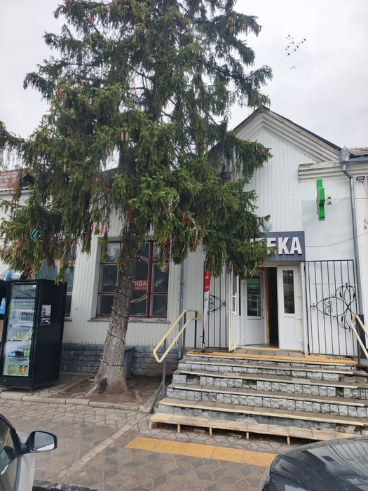 Здається в оренду приміщення в центрі міста