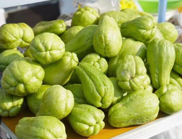 Chayote directly from the producer64551768966913120