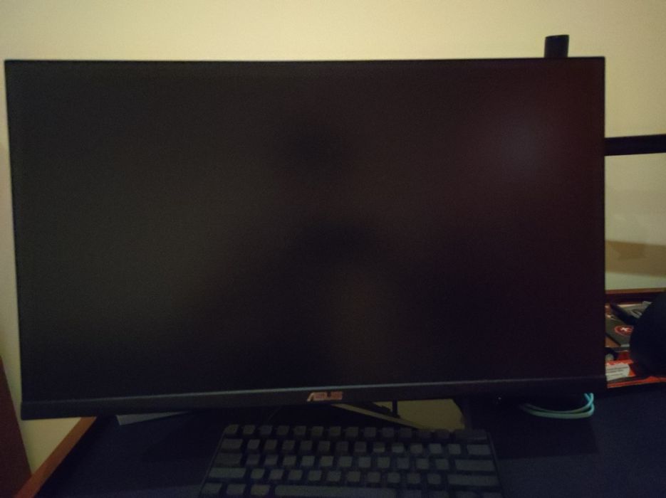 Asus VG259QMR5A  24.5 310hz