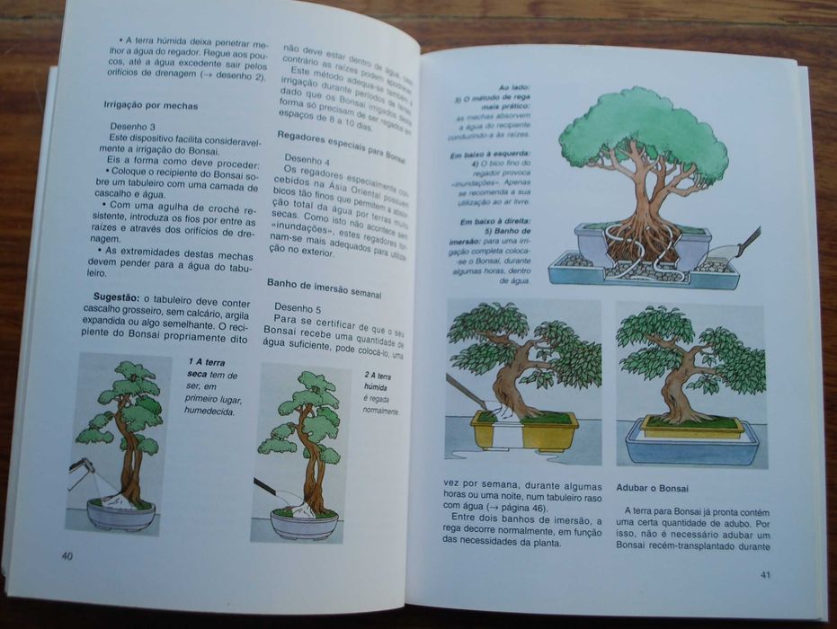 Bonsai de Interior de Jochen Pfisterer