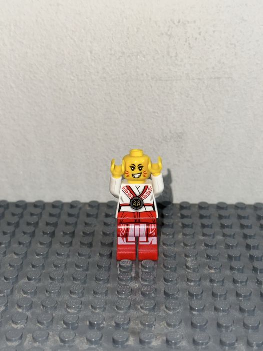 Figurka LEGO Ninjago njo0521 Akita