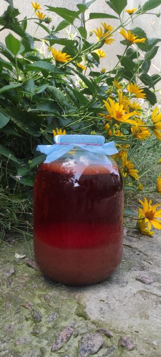 Домашній яблучний оцет. Домашний яблочный уксус.домашній оцет.ягідний.