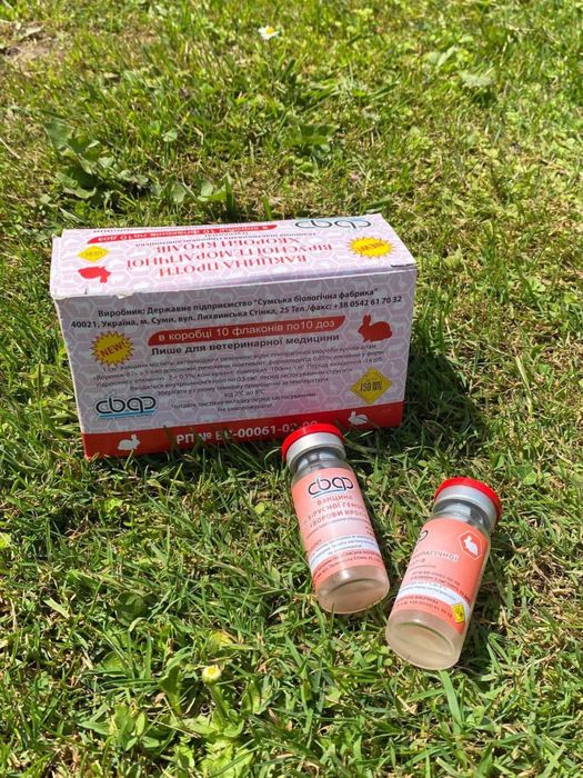 Продам все для кроликів