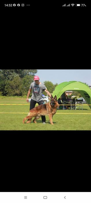 Чудові хлопці та дівчата