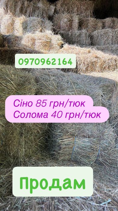 Продам недорого лугове сіно,солома
