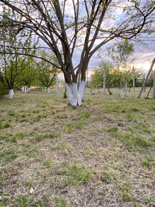 Продаж ділянки - Санжійка.