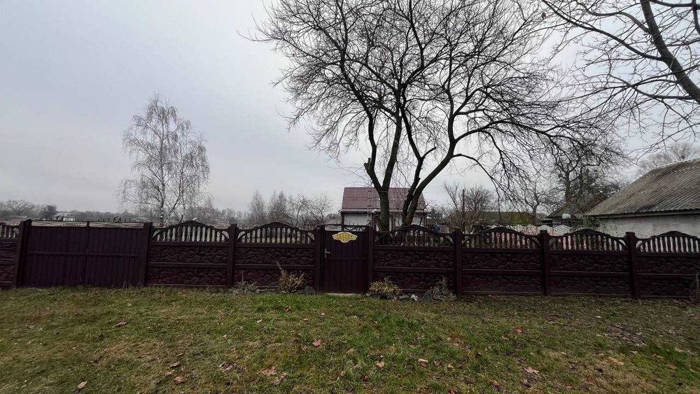 Продаж Будинку Дніпровське-Старик