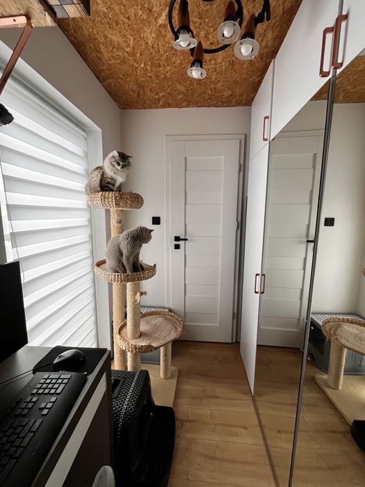 Wyposażony domek mobilny całoroczny 31m2+antresola