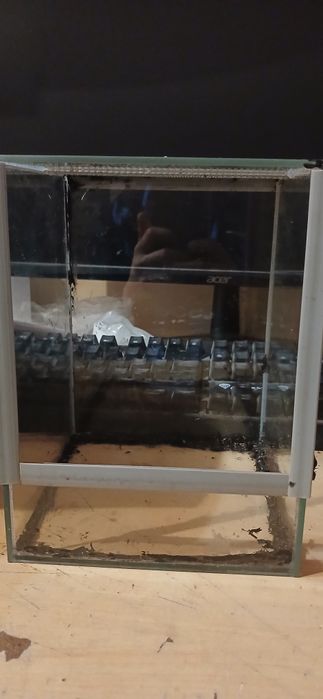 Terrarium 15x15x20
