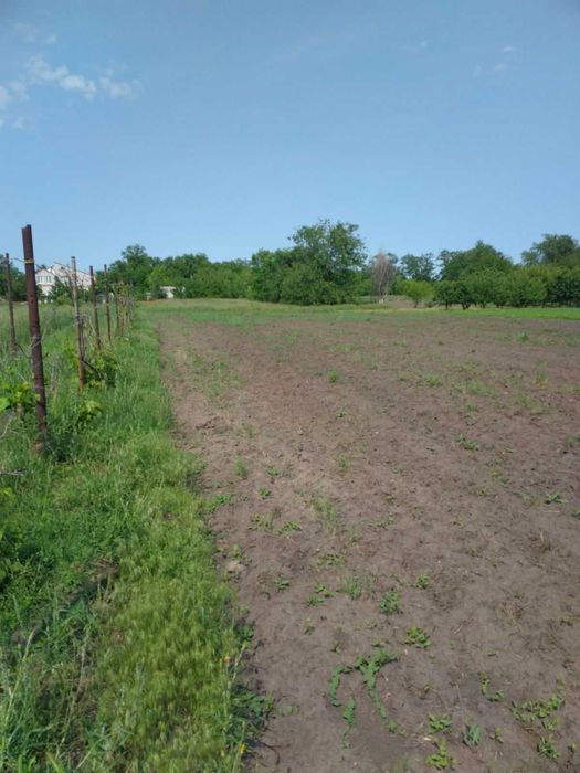 с. Балівка. Продам ДВІ поряд земельні ділянки під будівництво