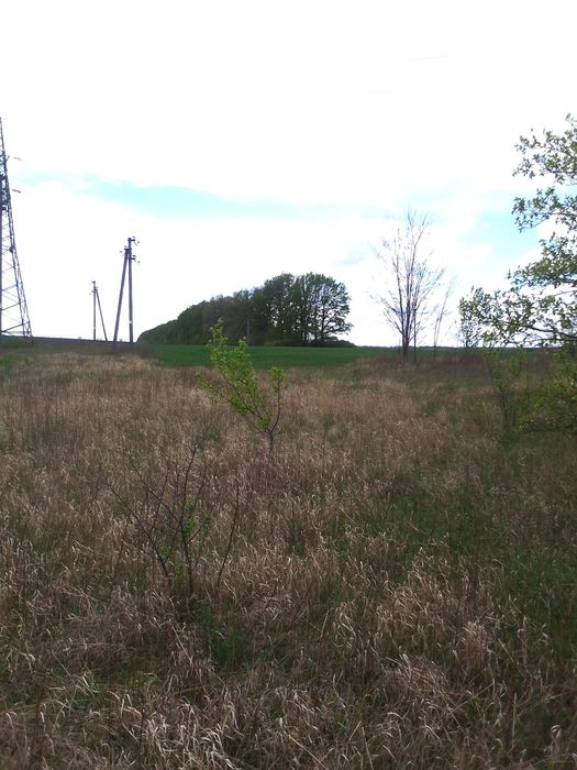 Продам дом старая водолага)))