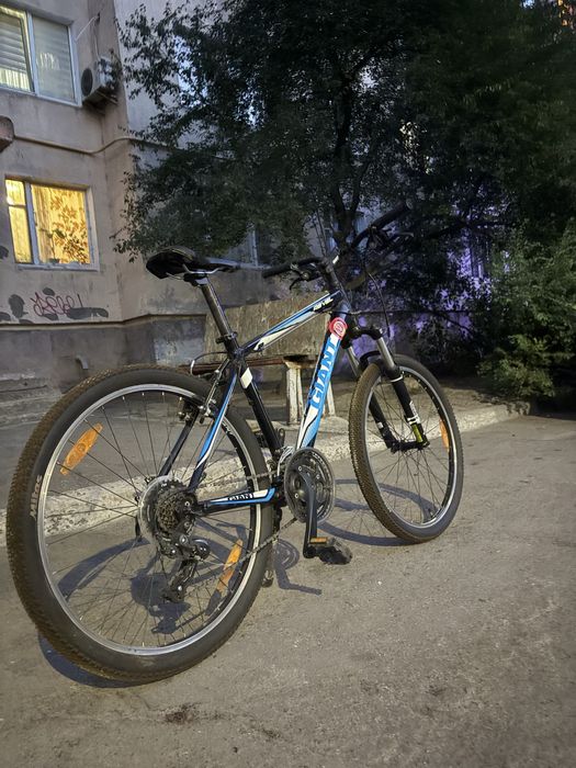 giant revel 3 “M”