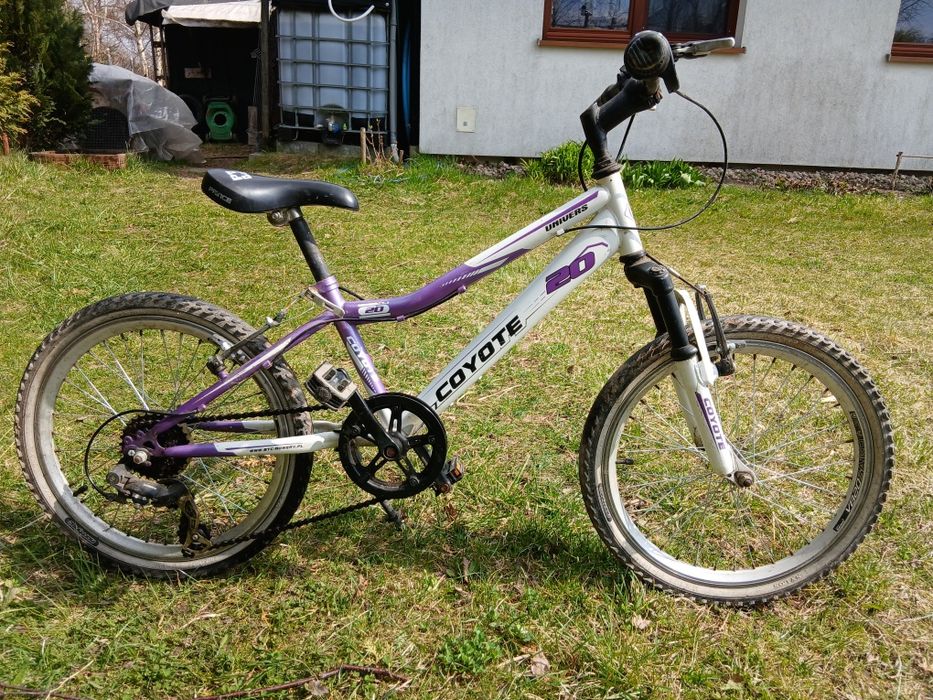 Rower dziecięcy Coyote Universe 20"