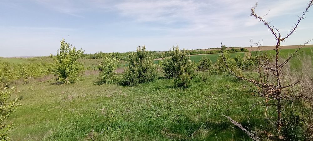 $ Продаж ділянки біля Білої Криниці
