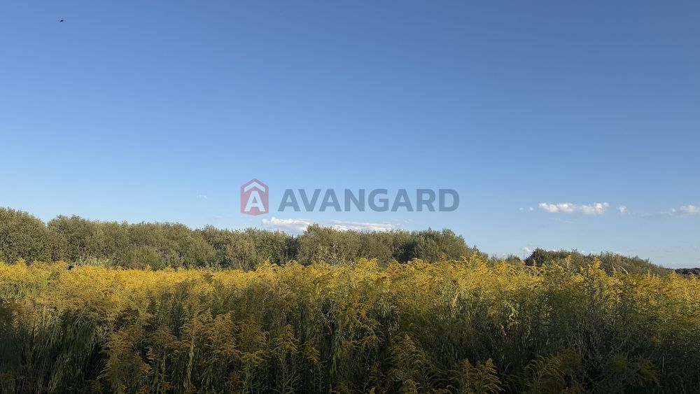 ПРОДАЖ ЗЕМЕЛЬНОЇ ДІЛЯНКИ — 50 СОТОК