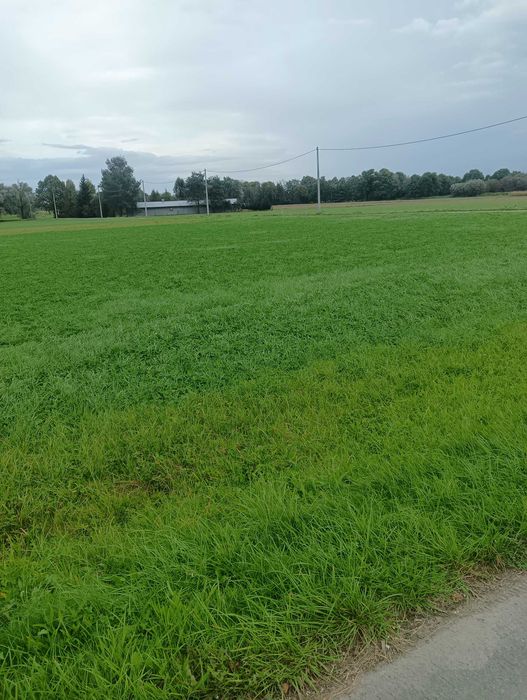 Sprzedam działkę rolną
