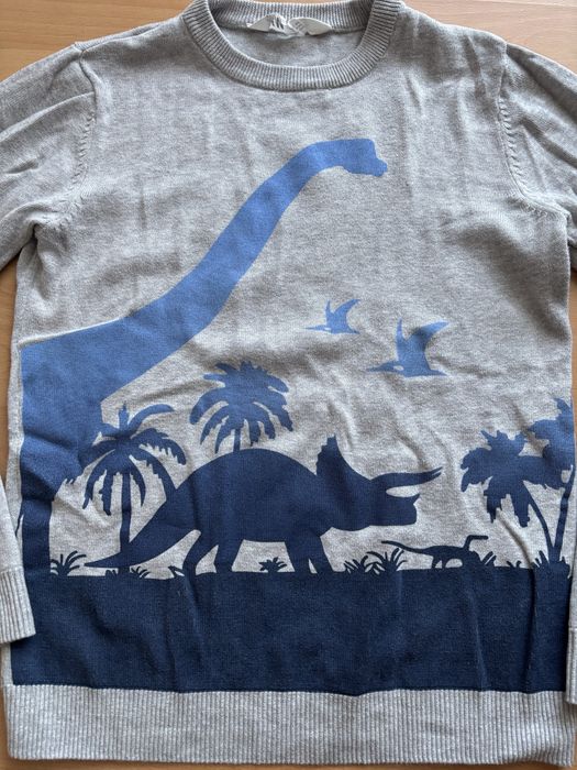 Sweter dinozaury H&M