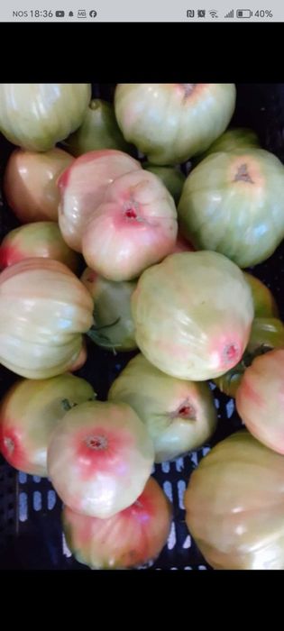 Vendo batata e cebola caseira