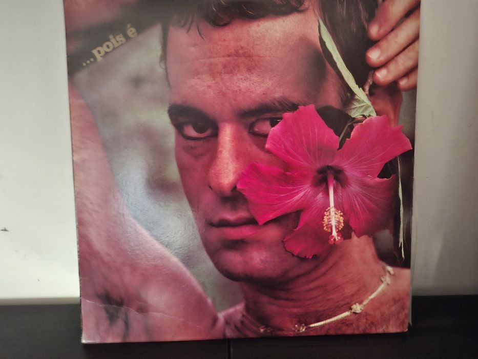 Disco LP Nei Matogrosso