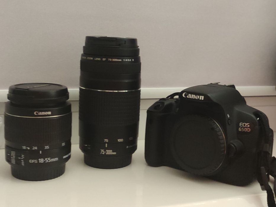 Торг Canon 650D, EF-S 18-55mm f/3.5-5.6 IS Macro