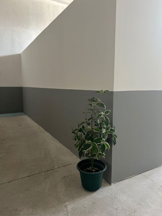 Remodelacoes interiores