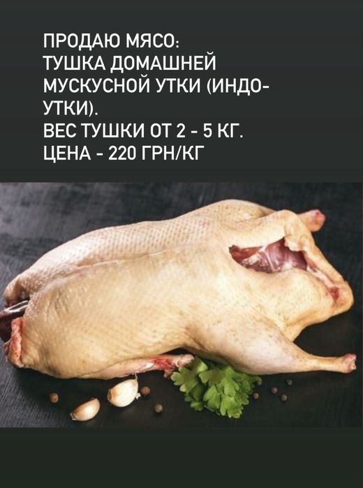Мясо  индо-утки. Харьков