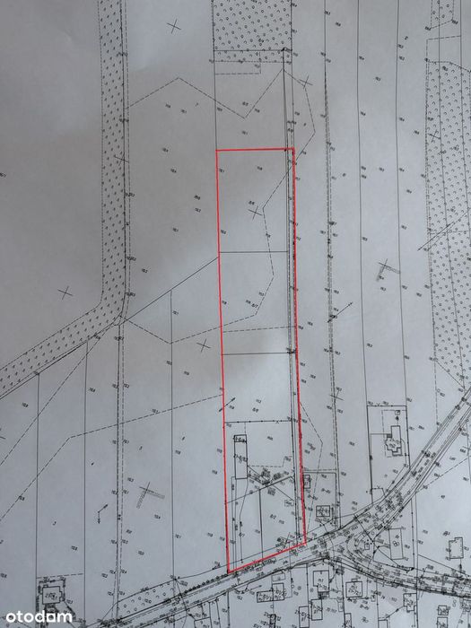 Sprzedam Działkę - 13 441 m² – Nowe Koziminy, gmina Płońsk