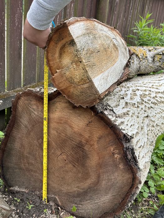 Продам горіх на дошку