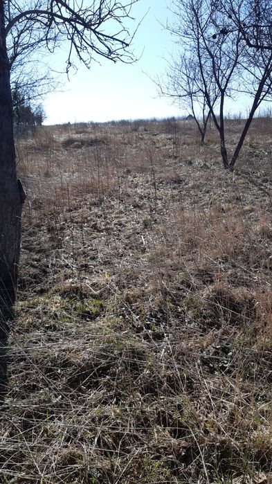 ТермПродаж житлового будинку. 84м² . ОТИНІЯ . 39соток. Комунікації