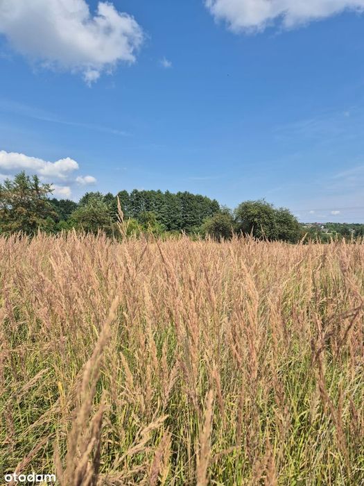 Sprzedam działkę w Balinie - z Warunkami Zabudowy - Widok 2