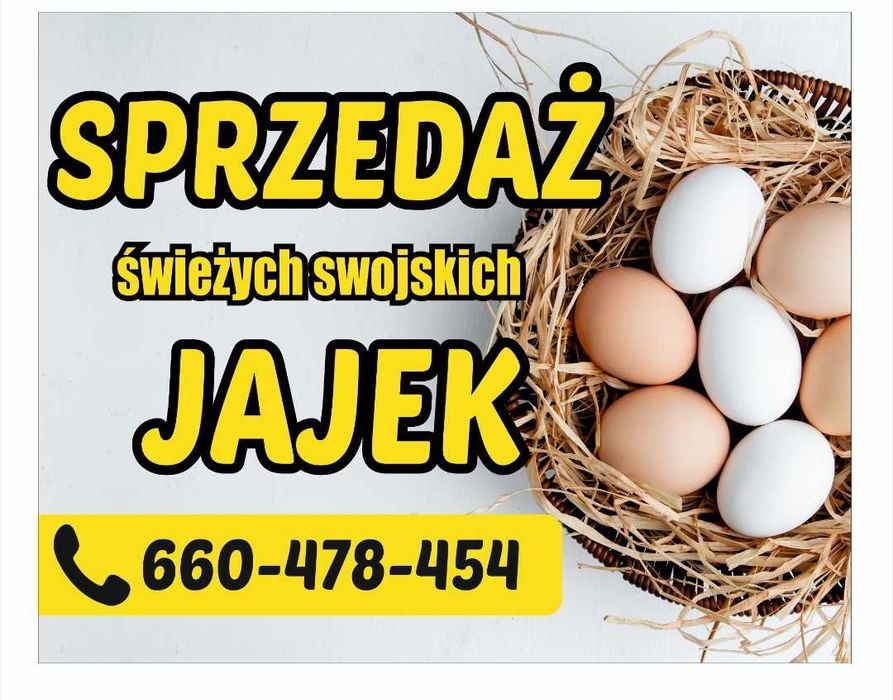 Swojskie jajka, wolny wybieg.