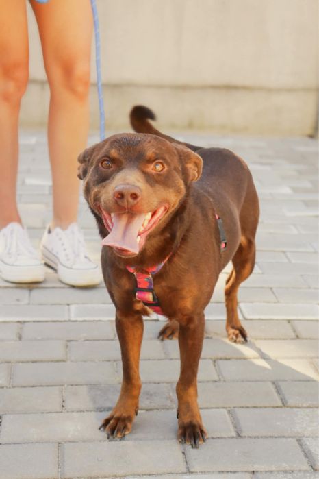 Ego szuka domu na zawsze