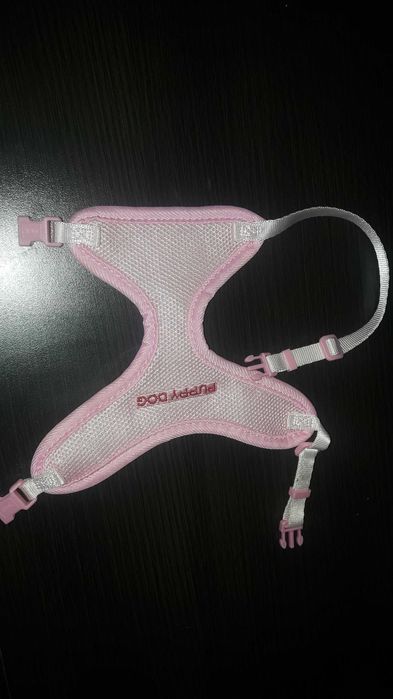 szelki dla malego psa