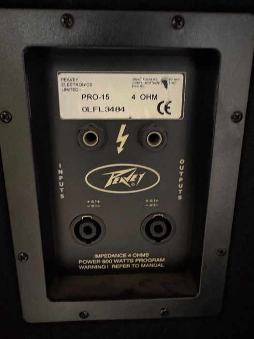 Kolumny PEAVEY PRO-15