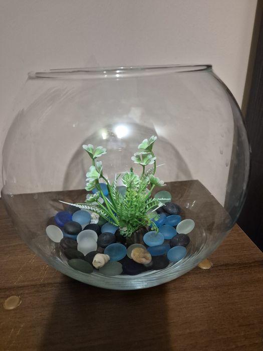 Акваріум, скляна ваза