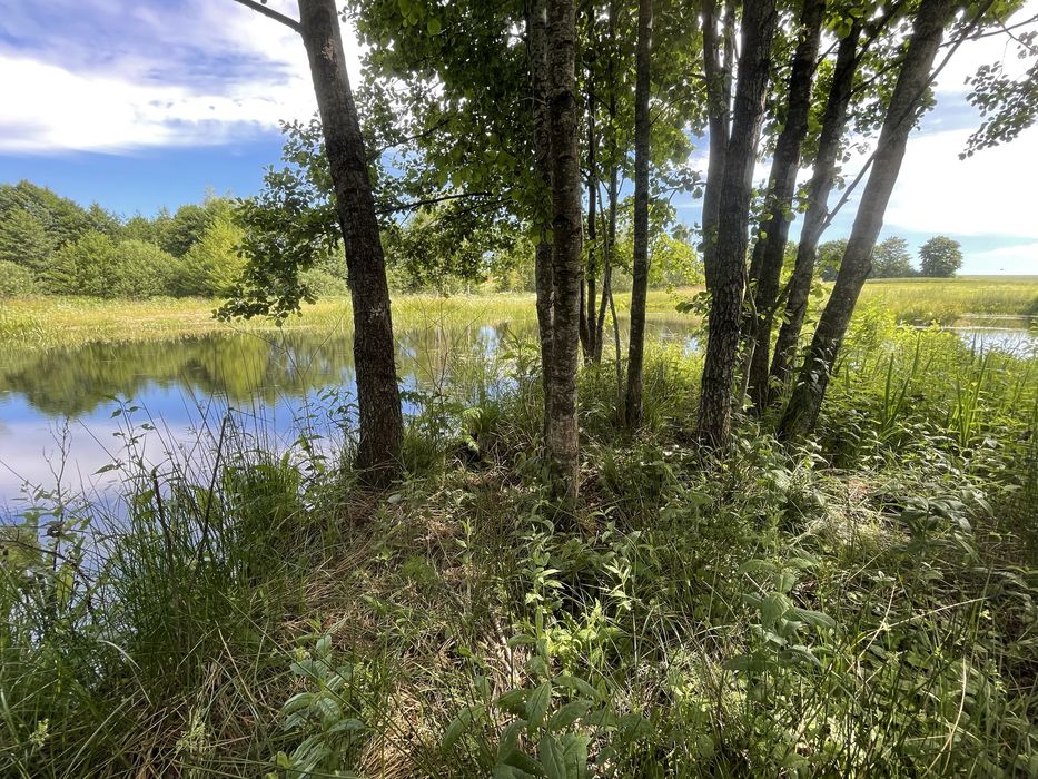 1,56 ha | DZIAŁKA BUDOWLANA ZE STAWEM ≈ 0,40 ha | PRZERĘBSKA HUTA – 35 min od Gdańska - Widok 4