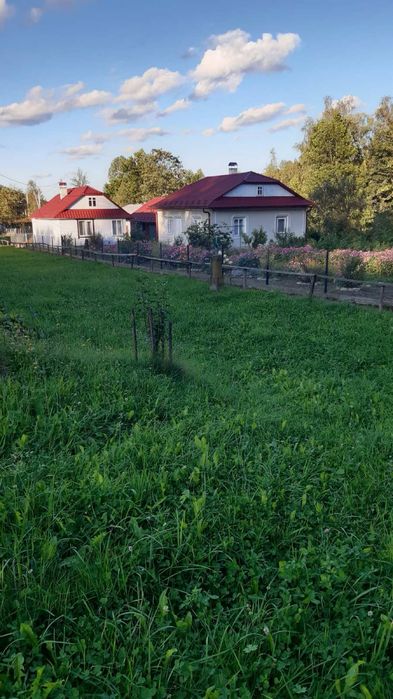 Будинок в Карпатах