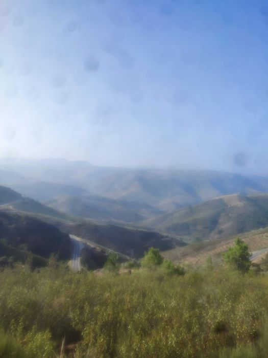 Terreno rústico em Moncorvo