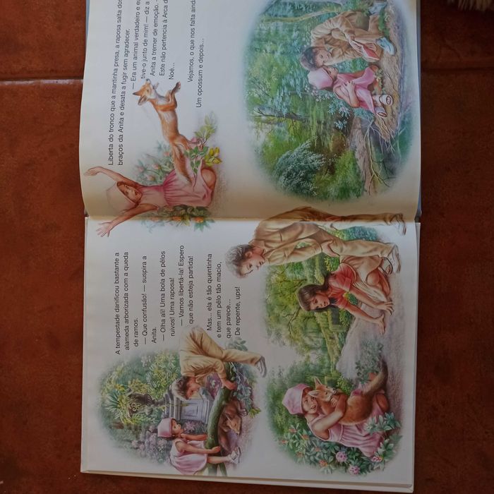 Livro da Anita - Anita e a arca de Noé - Martine - Livro novo