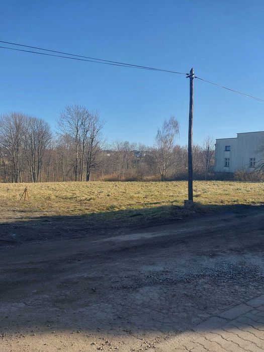 Dzialka 40 arow mieszkaniowo-inwestycyjna bardzo atrakcyjna - Widok 2