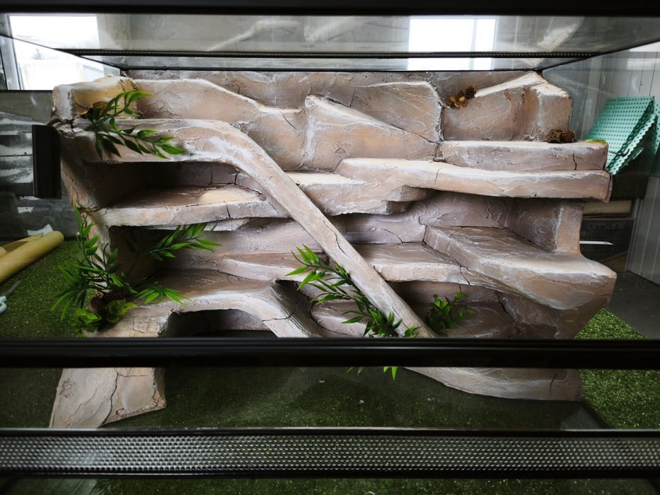 Terrarium dla gekona lamparciego ,,stepowe”