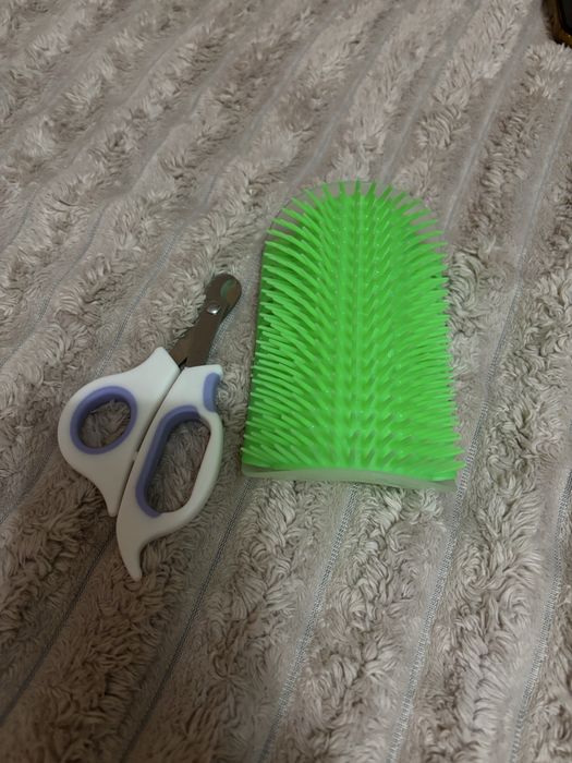 Ножиці, чухалка для кота