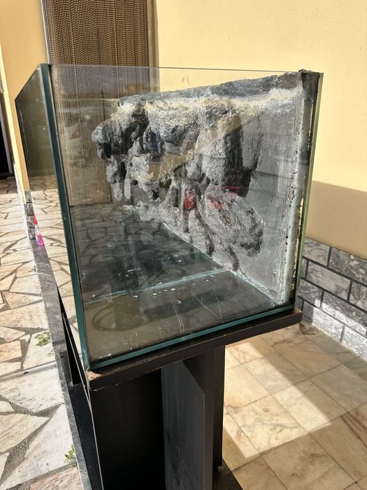 Aquário 160L  com fundo 3D artesanal + filtros eheim + calha ilu.