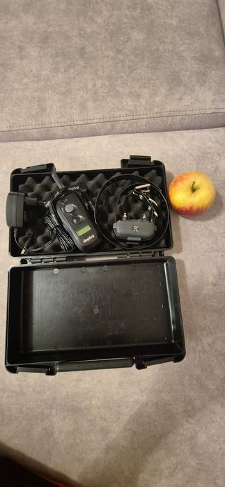 Dogtra, zestaw do treningu psa