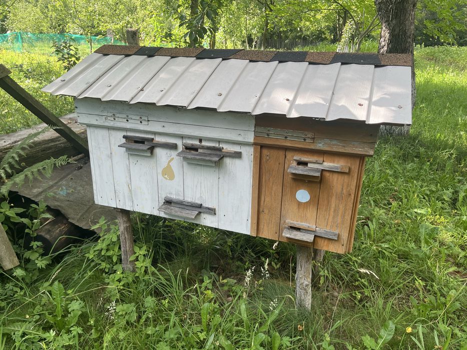 вулик на 2 сімʼї